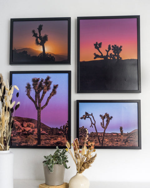 Joshua Trees in Valley Poster - Blue-Purple Sunset