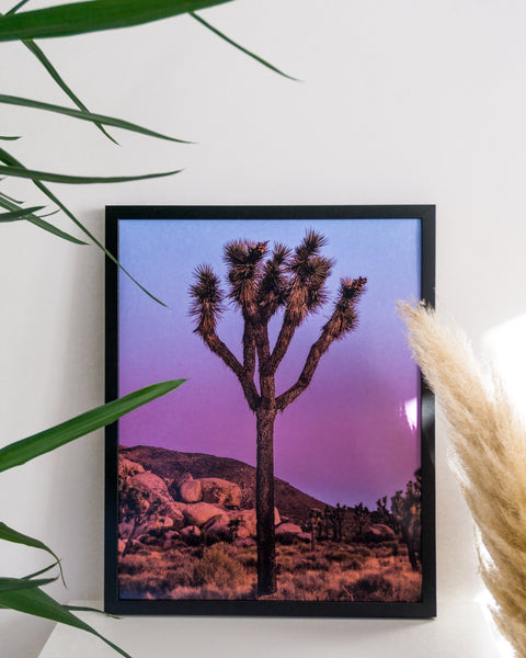 Joshua Tree Poster - Blue-Purple Sunset