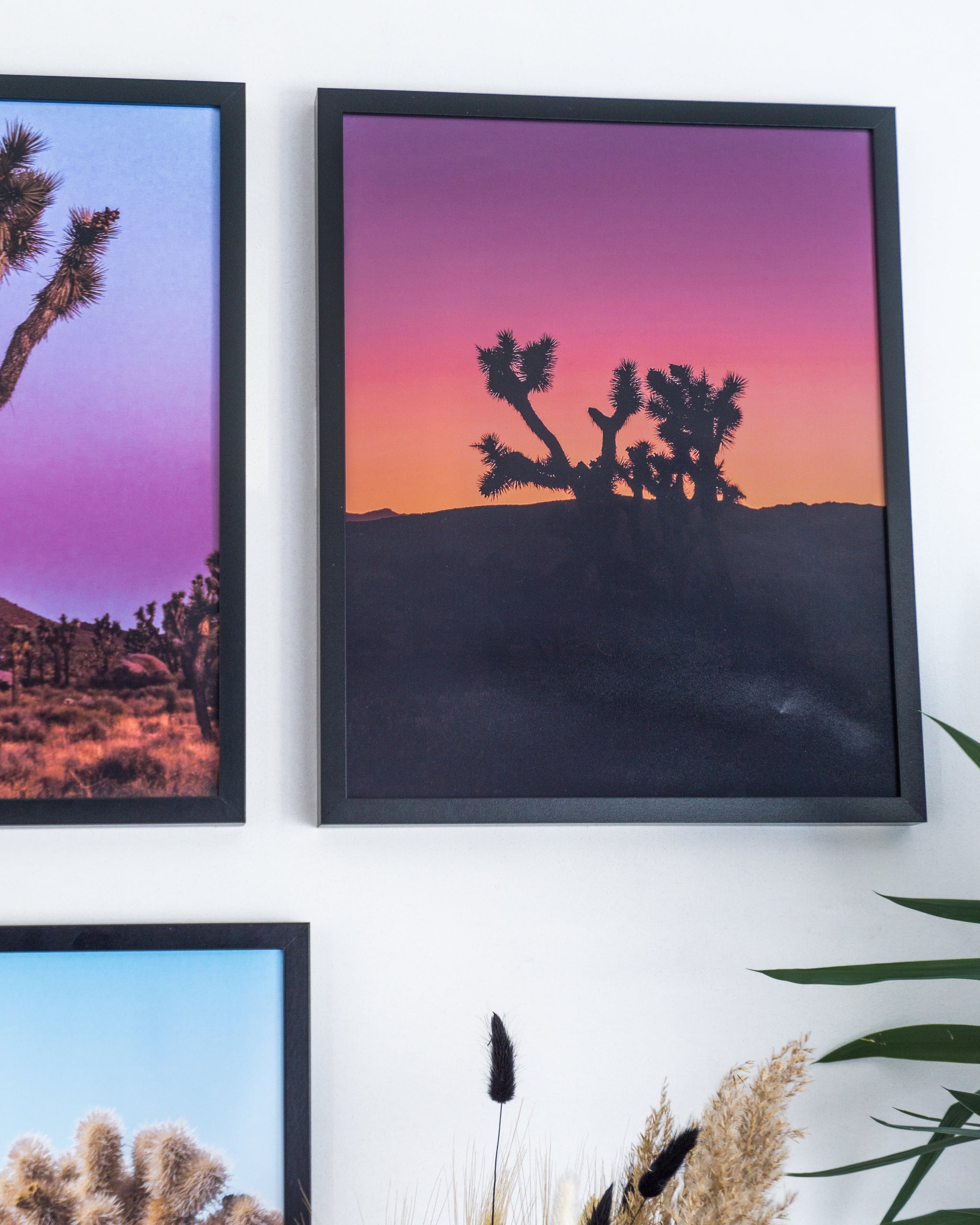 Joshua Tree Silhouette Purple Black Frame Framed Art Print Picture B12X9215 Joshua Tree Silhouette Purple Black Frame Framed Art Print Picture B12X9215