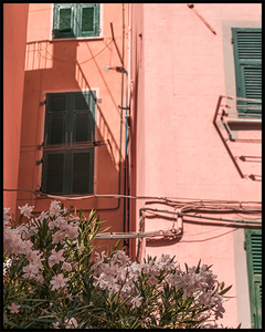 Riomaggiore poster featuring a pink house with green shutters and light-pink bougainvillea. Create an inspiring photo wall with our Cinque Terre Collection.