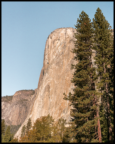 El Capitan mountain poster in Yosemite National Park with green trees and a blue sky.