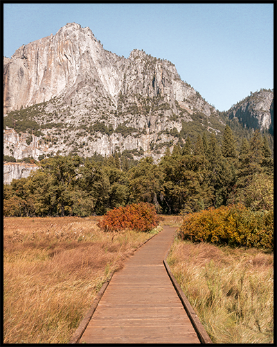 Poster featuring Cook's Meadow during fall season in the Yosemite Valley with the pale granite Castle Cliffs in the background. 